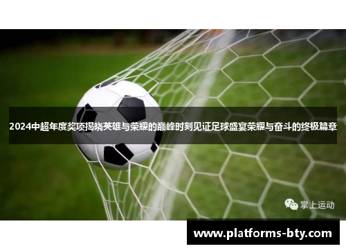 2024中超年度奖项揭晓英雄与荣耀的巅峰时刻见证足球盛宴荣耀与奋斗的终极篇章