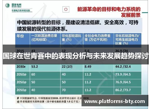 国球在世青赛中的表现分析与未来发展趋势探讨