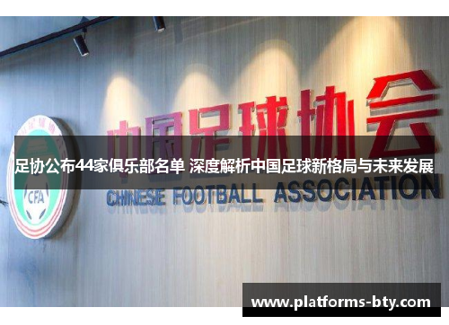 足协公布44家俱乐部名单 深度解析中国足球新格局与未来发展