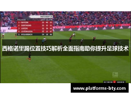 西格诺里踢位置技巧解析全面指南助你提升足球技术 西格诺里踢位置技巧解析全面指南助你提升足球技术