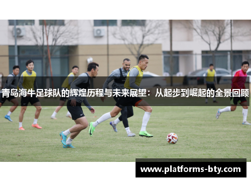 青岛海牛足球队的辉煌历程与未来展望：从起步到崛起的全景回顾