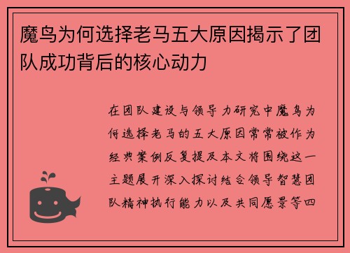 魔鸟为何选择老马五大原因揭示了团队成功背后的核心动力 魔鸟为何选择老马五大原因揭示了团队成功背后的核心动力